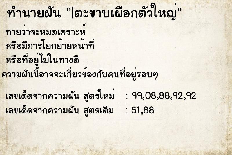 ทำนายฝัน |ตะขาบเผือกตัวใหญ่  เลขนำโชค 